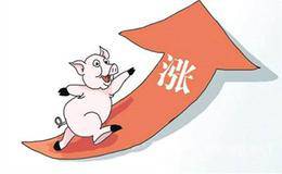 猪价季节性回暖再现,<em>猪肉涨价概念股</em>受关注!