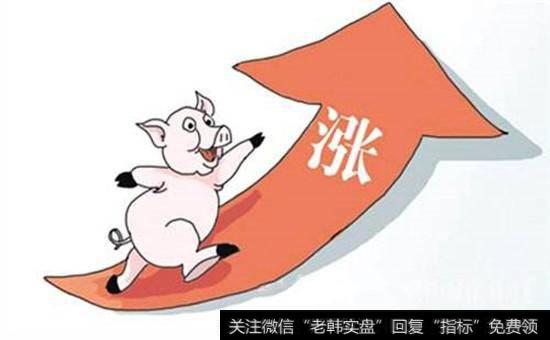 猪肉涨价概念股