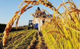 年底农业进入政策密集期 农业板块迎来多个催化剂