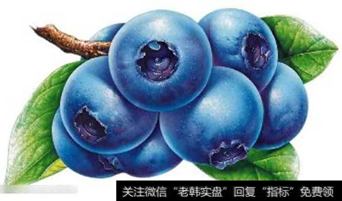 沃田蓝莓