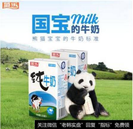 菊乐股份有限公司_菊乐股份IPO：营收仅为伊利1% 产品用来哺育大熊猫