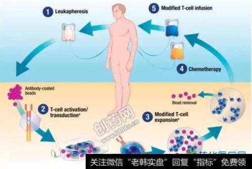 [中国百年企业]中国企业抢滩细胞免疫疗法蓝海 相关概念股有望率先受益政策红利