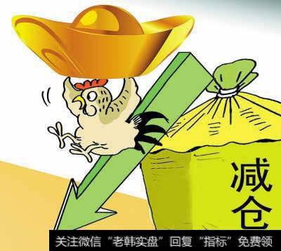 股神林園2018最新消息|股神林園看股市:基金減倉