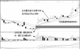 0轴做多之正向量战法典型案例：海利得（002206）