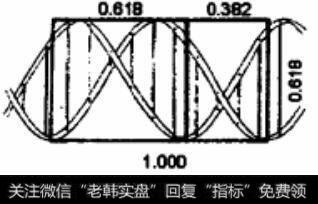 DNA分子图