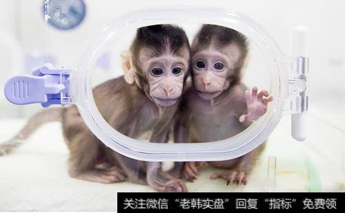 [克隆转基因等生命科学的重大突破]世界生命科学重大突破！两只克隆猴在中国诞生
