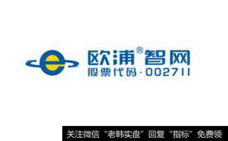 浦智网大跌引连锁反应 牛散遭信托公司强制平仓