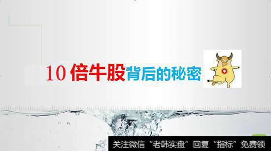 未來十倍牛股|去年10倍牛股共4只，寒銳鈷業漲15倍，原來它們都有共性