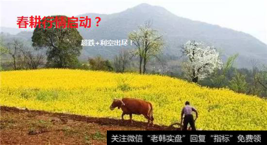 【漲停板預測的個人展示頁】漲停板預測:我國農業落后美國60年？參考美國發展 這三大方向騰飛在即
