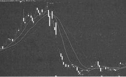 遵循20日线规律的股票分析:双塔食品