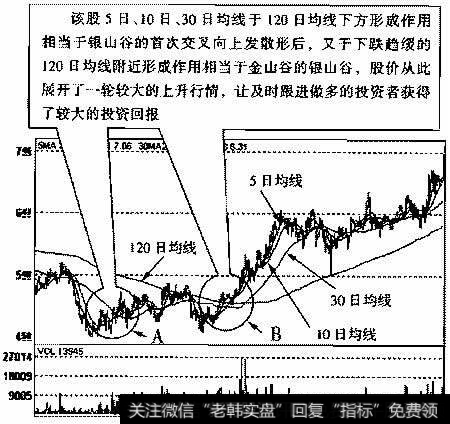 中兴商业(000715)2005年2月3日～2006年2月15日的日K线走势图
