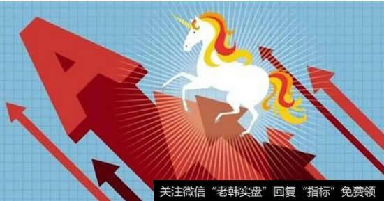 杨德龙股市最新消息，“独角兽”回归带来哪些投资机会