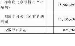 每股收益的分类以及合并利润表情况解析