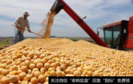 中美贸易战，大豆加征关税的影响推测