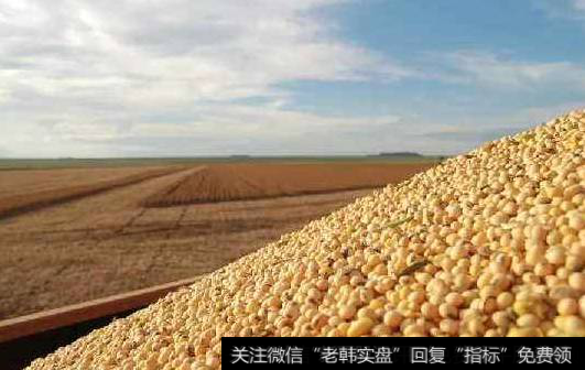 东北两省扩大大豆种植面积