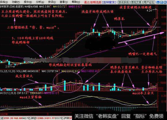 老鸭头解释庄家各种行为，跟着庄家有钱赚