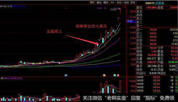 图示 600275 武昌鱼