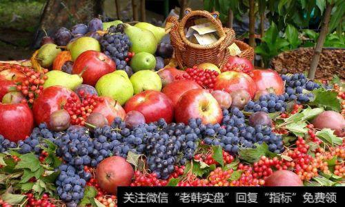 水果新零售服务提供商果小小完成约300万元种子轮融资