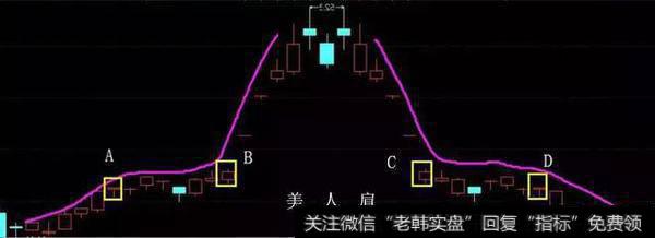 美人肩