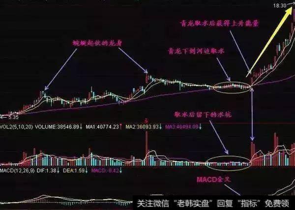 青龙取水飞黄腾达