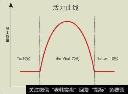 杰克•韦尔奇活力曲线图