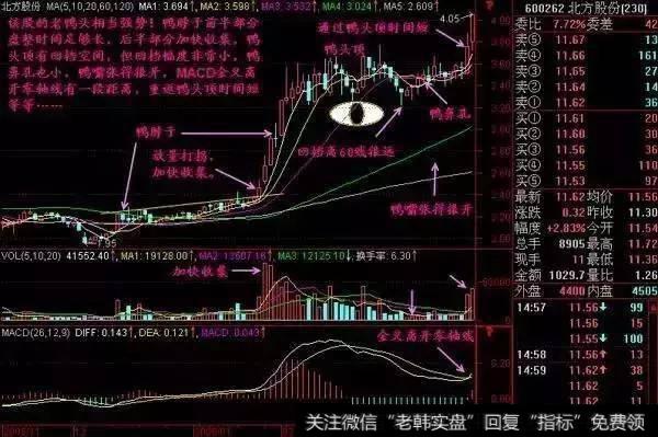个股形态之老鸭头