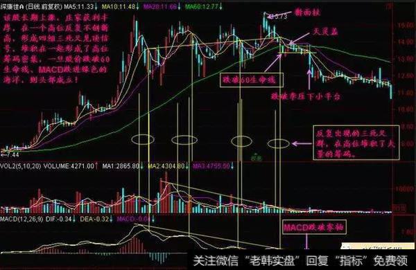 MACD跌进绿色的海洋