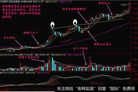 “金蛤蟆”就是从60日线附近启动