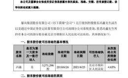暴风集团：公司控股股东冯鑫部分股票被司法冻结