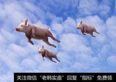 【风来了猪都能飞上天】“猪”都飞上天了，涨价概念题材火爆