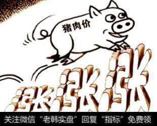 2018年10月14日陕西、山西猪肉价格预测