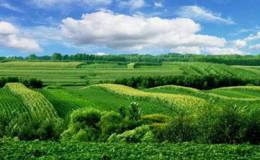 生态农业概念龙头股 生态农业概念股  生态农业概念股一览
