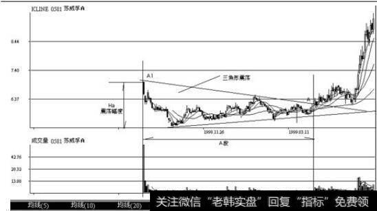 深圳股票苏威孚(0581) 198年9月至1999年5月的日K线图和成交量走势