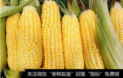 我国玉米主产区因灾减产严重,玉米题材<a href='/gainiangu/'>概念股</a>可关注