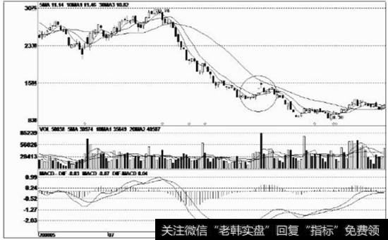 美元下跌_下跌途中的T字阳线