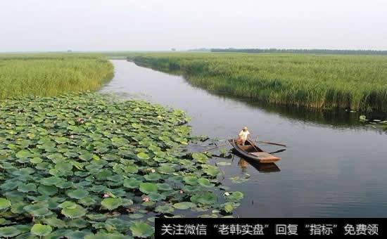 京冀共促白洋淀水环境保护