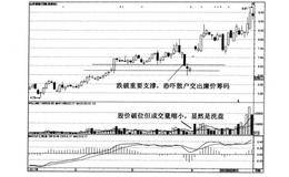 什么是热点板块的黑马？热点板块的黑马实例及操作策略？