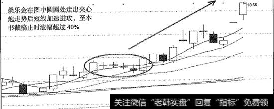 桑乐金夹心炮