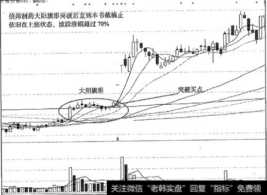 大陽電動車_大陽旗形擒大牛之信邦制藥