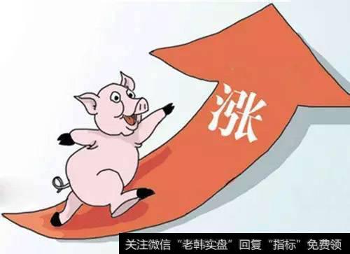 批发市场猪肉价格较大幅度上涨