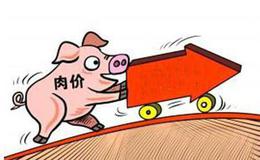 猪价有望加速上涨,猪肉题材概念股可关注