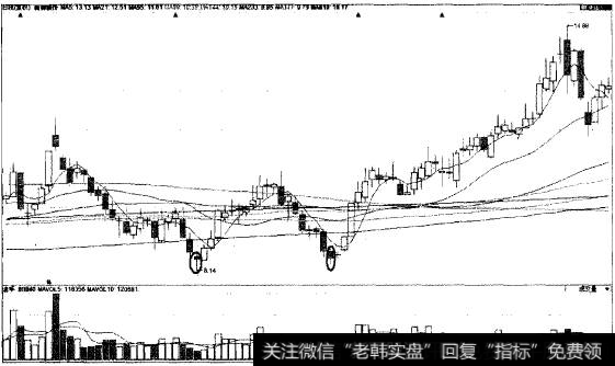 守门双神猎杀短线黑马新赛股份