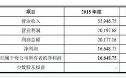 狂犬疫苗厂商康华生物更新IPO招股书 应收账款规模快速增加