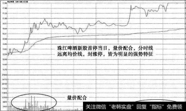 珠江啤酒新股首停当日分时图
