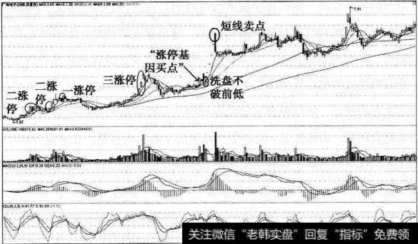 涨停基因猎杀广电电子