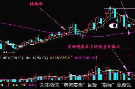 [丁大卫谈股]见证中国资本市场历史性时刻：科创板开板！创板开板仪式对短期市场影响不大