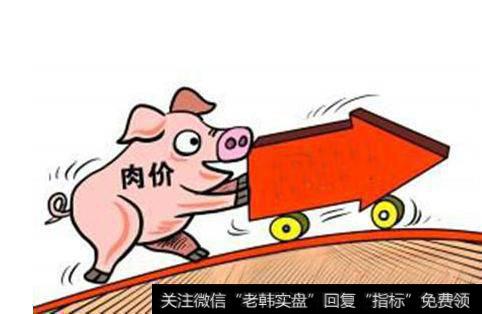 猪价加速上涨,猪价题材<a href='/gainiangu/'>概念股</a>可关注