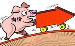 鲜果猪肉领衔 6月CPI同比上涨2.7%