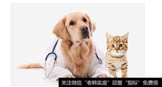 中国宠物行业白皮书发布,宠物题材<a href='/gainiangu/'>概念股</a>可关注