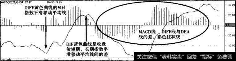 MACO指标柱状图